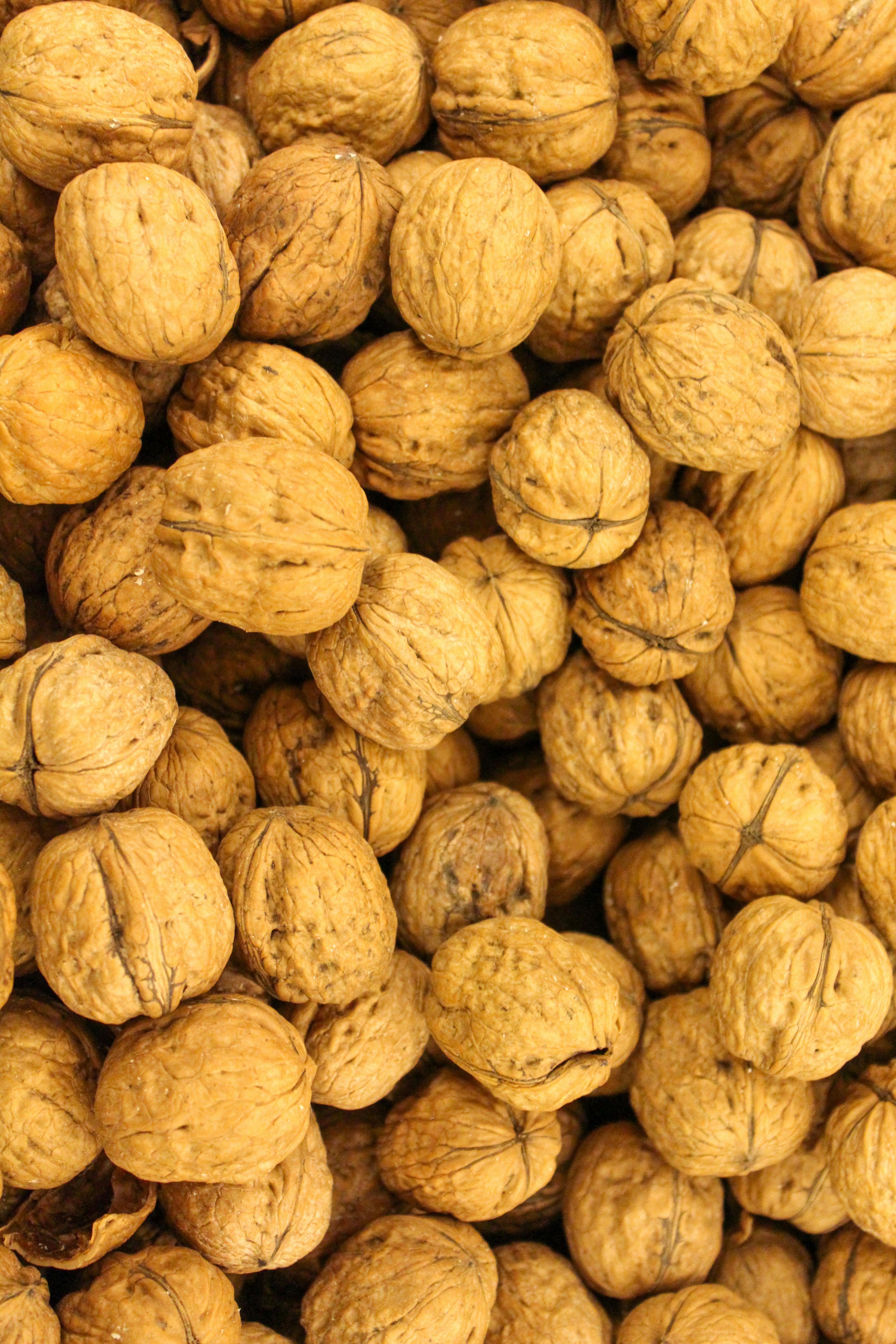 Effective Methods for Crafting Keto Protein Balls to Enhance Weight Loss in 2025