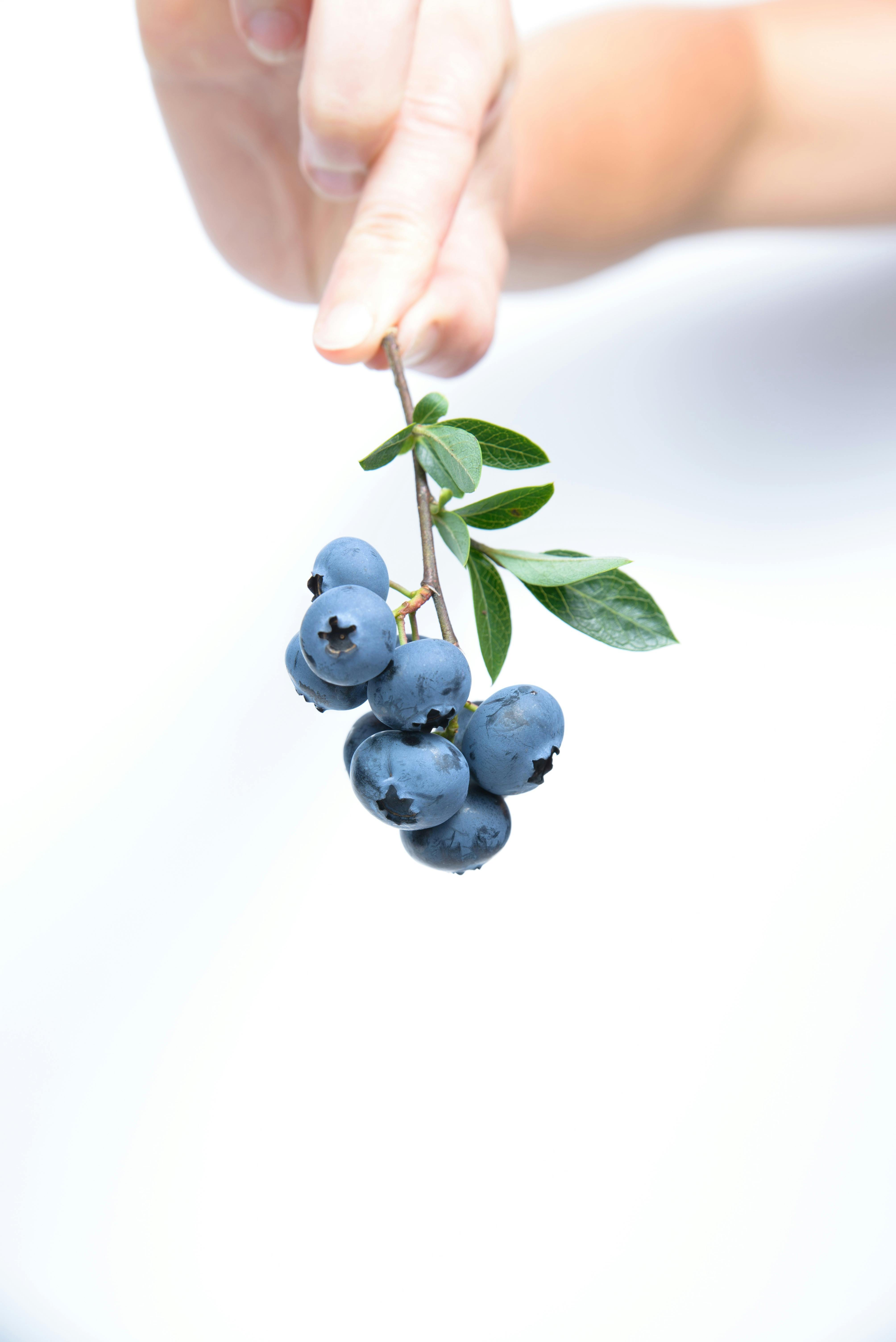 Smart Ways to Use Sugar Alcohols in Your Keto Diet 2025